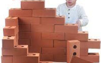 bricks supplier in gurgaon