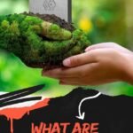 AAC Blocks Supplier in Gurgaon